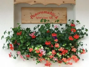 Haus Panoramablick - Image 1