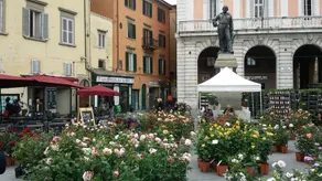 PISA CENTRAL - Image 4