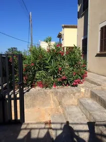 Chalet Font de Sa Cala - Image 5