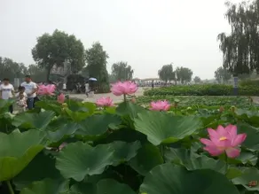 Duoduo Farmstay - Image 4
