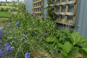 Rhiwiau Self Catering - Image 5