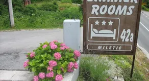Miletic - Image 3