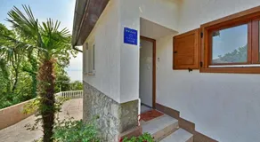 M - Image 3