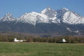 Penzion 2004 - Image 4