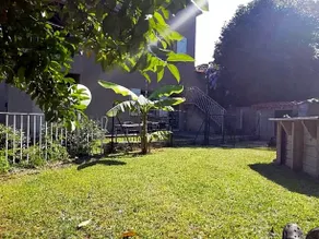Chiapatella - Image 4