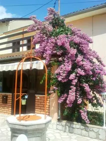 Apartment Alba - Image 2