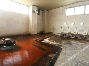 Kofu Shouwa Onsen Business Hotel - Image 3