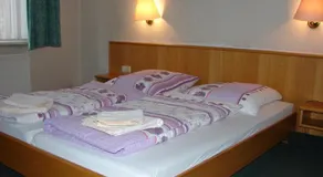 Adler - Image 3