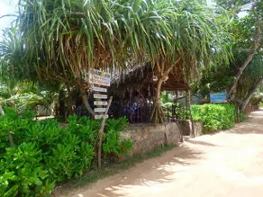 Chandi Gaya Beach Guesthouse - Image 4