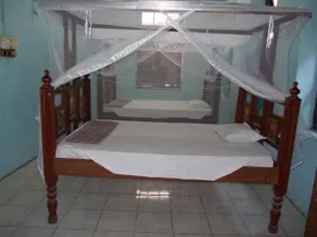 Zanzibar Dorm Lodge 222 Hurumzi - Image 2