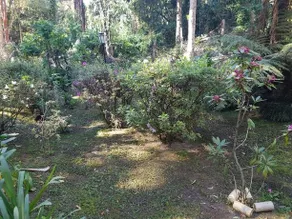 RD Casa Em Campos Do Jordao - Image 2