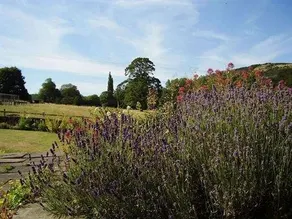 Field House Bed & Breakfast - Image 4