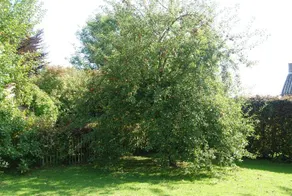 Le Mas de Genneville - Image 5