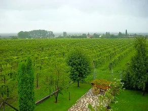 Nitt Pince Es Panzio - Image 4