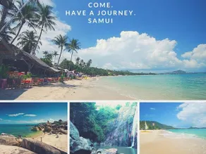 Summer Paradise - Image 3