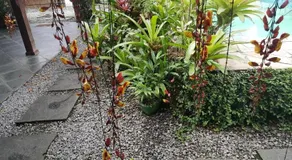 Suites Beija-Flor - Image 4