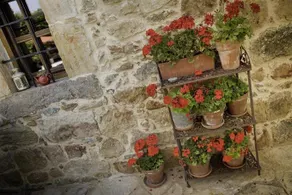 La Casona de San Pantaleón de Aras - Image 5