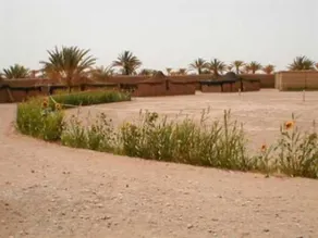 M'hamid Bivouac Chez Naji - Image 3