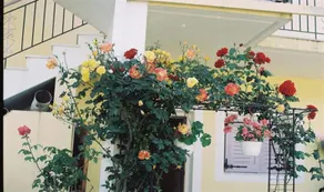 The Garden's Studios - Image 2