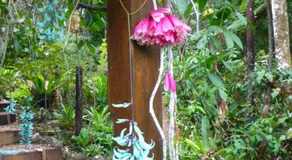 Daintree Holiday Homes - The Folly - Image 5