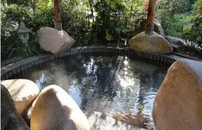 the Fa Shui Forest Hot Spring Resort - Image 3