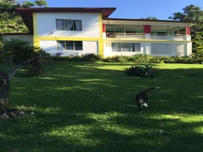 Villa Paola Jamaica - Image 2