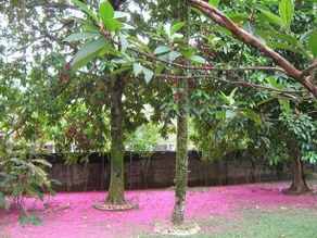 Casa Boa Esperança - Image 3