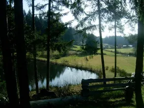 Cottage of Tranquility - Image 2