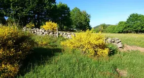 viaux-fontaine - Image 5