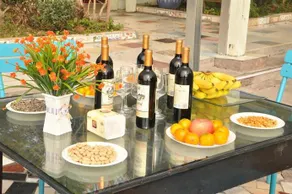 Ning Xin Wang Home Party - Image 2