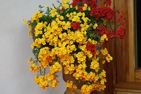 Hotel al Bosco - Image 3