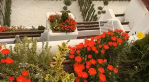 Apartment Mediterranean Ocean View - Image 4