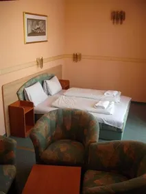 Hotel Tagore - Image 4