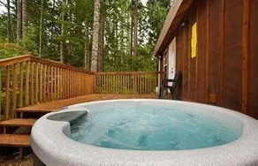 95gs - Hot Tub - Wifi - Pets Ok - Sleeps 4 2 Bedroom Home by RedAwning - Image 4
