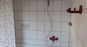 Nussbaumhof mit Koppel - Image 4