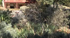 Kit Kat Cottage - heritage accommodation Burra - Image 4