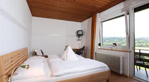 Gasthof-Seepension Hofer - Loee - Image 4