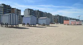 Appartement Delmare - Image 5