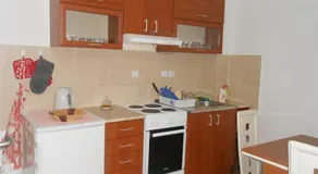 Apartments Kraljeva Dolina - Image 4