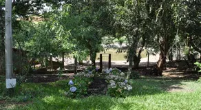 Quinta dos Doges - Image 4