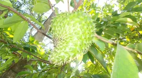 Friendship Villa - Image 5