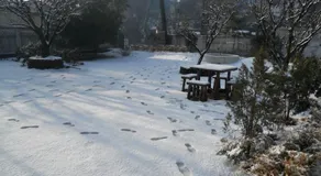 Rewa Retreat - Image 2