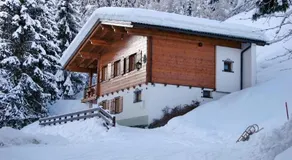Alpenstern - Image 2