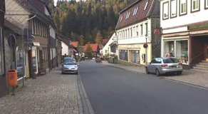 FeWo Eulennestchen-Harz - Image 5