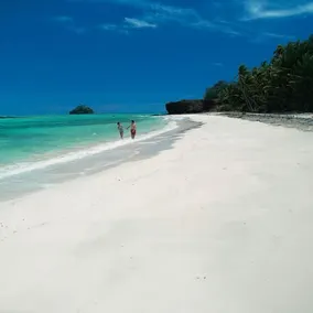 Turtle Island Resort - Image 2
