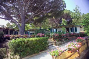 Acquaviva Village Camping - Image 4