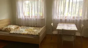 Mainzimmer Business Appartment - Monteurwohnung mit Burgblick - Image 4
