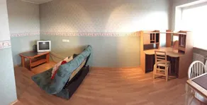 Laine 4A - Image 3