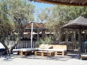 Cleomenis - Image 3