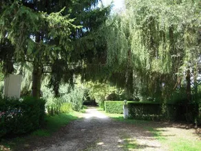 Sopron Balf Camping - Image 5